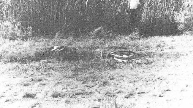 Marilyn Wallman's bike in the vicintiy where she disappered. Photo Daily Mercury Archives. Picture: Daily Mercury Archives