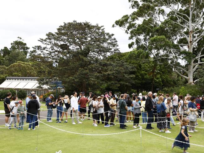 Almost 7000 people have queued up to see her at the historic Palm House glasshouse. Picture: Jonathan Ng