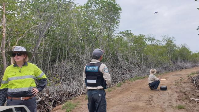 Despite being advised by the department against interfering with the national park and protected wetlands, the man proceeded with his lengthy excavation. Picture: Department of Environment, Science and Innovation.