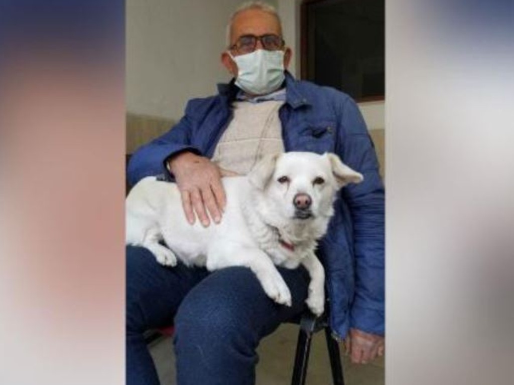 The pooch was waiting for her owner of nine years, Cemal Senturk, while he was in hospital. Picture: Medical Park Hospital