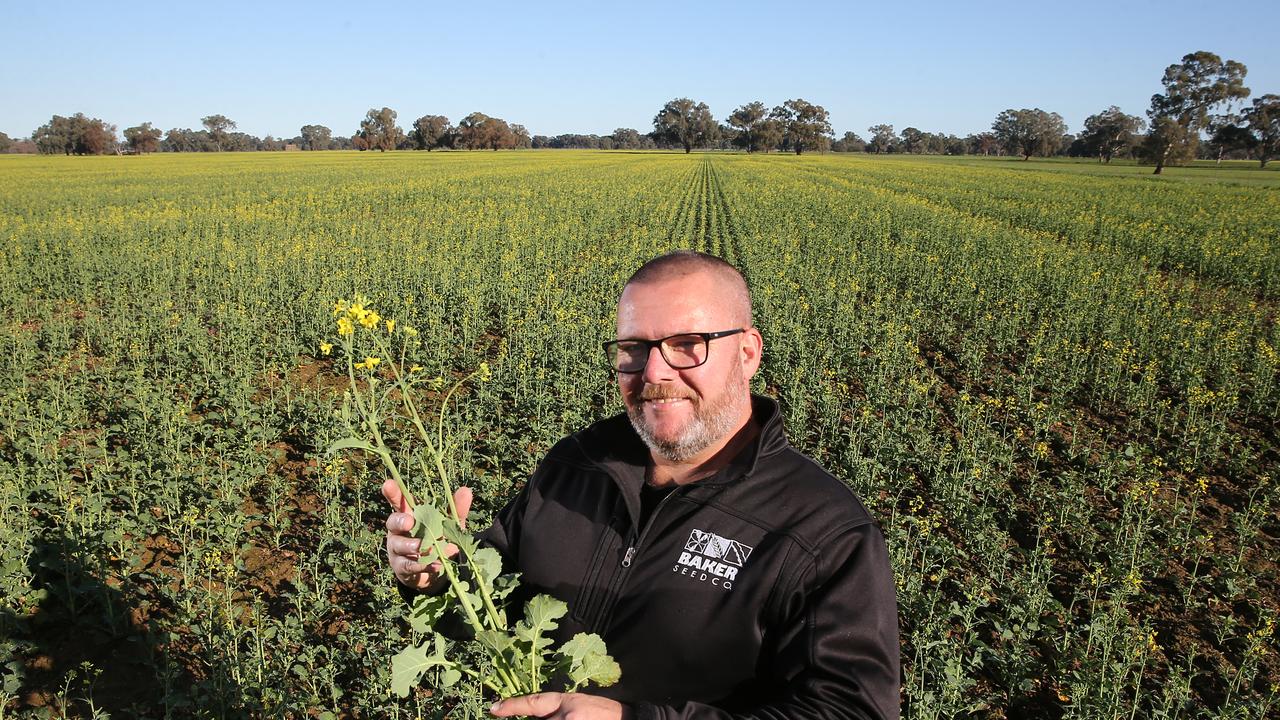 Farmers welcome spring rain