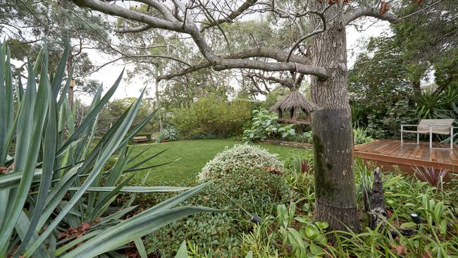 Fifty shades of green: the garden in Adelaide’s Netherby. Picture: Sam Roberts