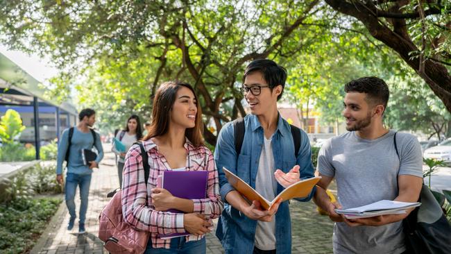 The number of international students commencing courses in universities has risen strongly this year.