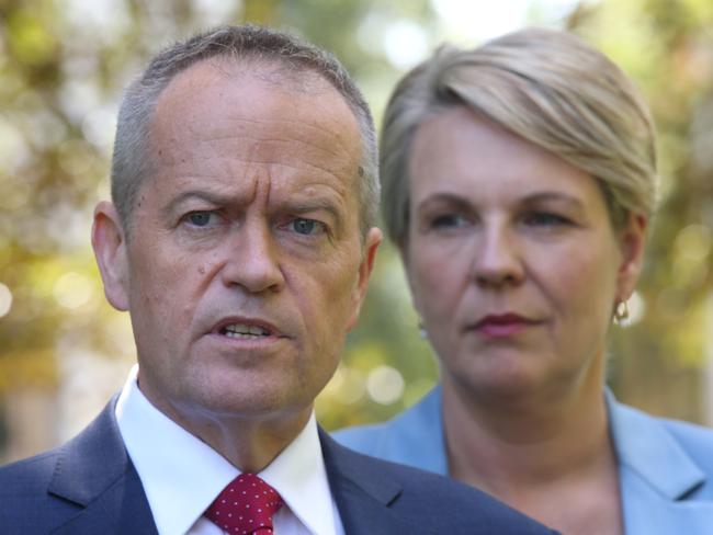 Leader of the Opposition Bill Shorten, and the Deputy Leader of the Opposition Tanya Plibersek. Picture: AAP