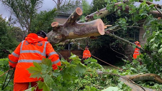 SES crews clear a massive tree from a front yard at South Granville. Picture: Parramatta SES