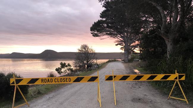 Images from Strahan where about 230 whales are stranded. Picture Nikki Davis-Jones