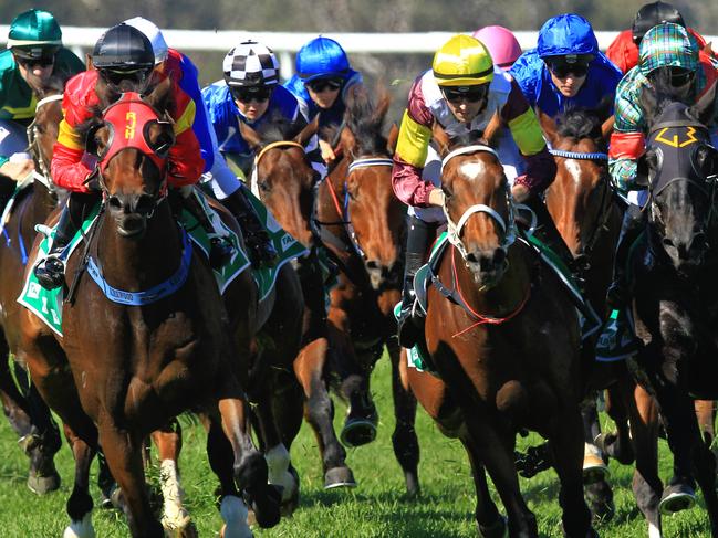 Loving home ridden by Tye Angland  (yellow cap, maroon with yellow armbands) wins race 1 during Scone  Races located in the Upper Hunter Region of NSW. The Bend . Pic Jenny Evans