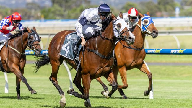 Dubai Poet, ridden by Todd Pannell, wins the Christmas Handicap at Morphettville on Saturday. Picture: Makoto Kaneko