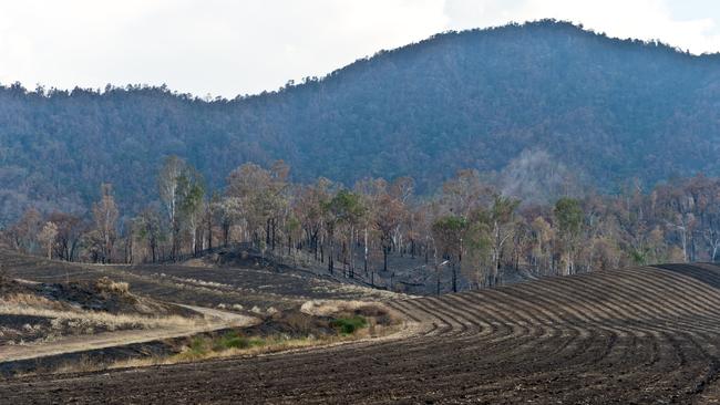 Fire damage to a cane farm in Finch Hatton.