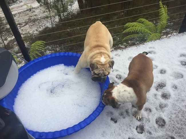 Hail at Orford. Picture: MELANIE ROTTIER