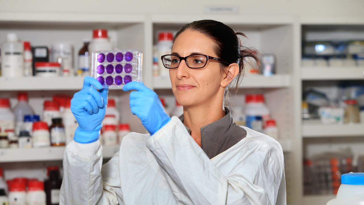 Griffith University scientist Dr Lara Herrero. Picture: Tim Marsden