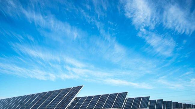 Some solar farms are having issues with burning birds. Picture: .
