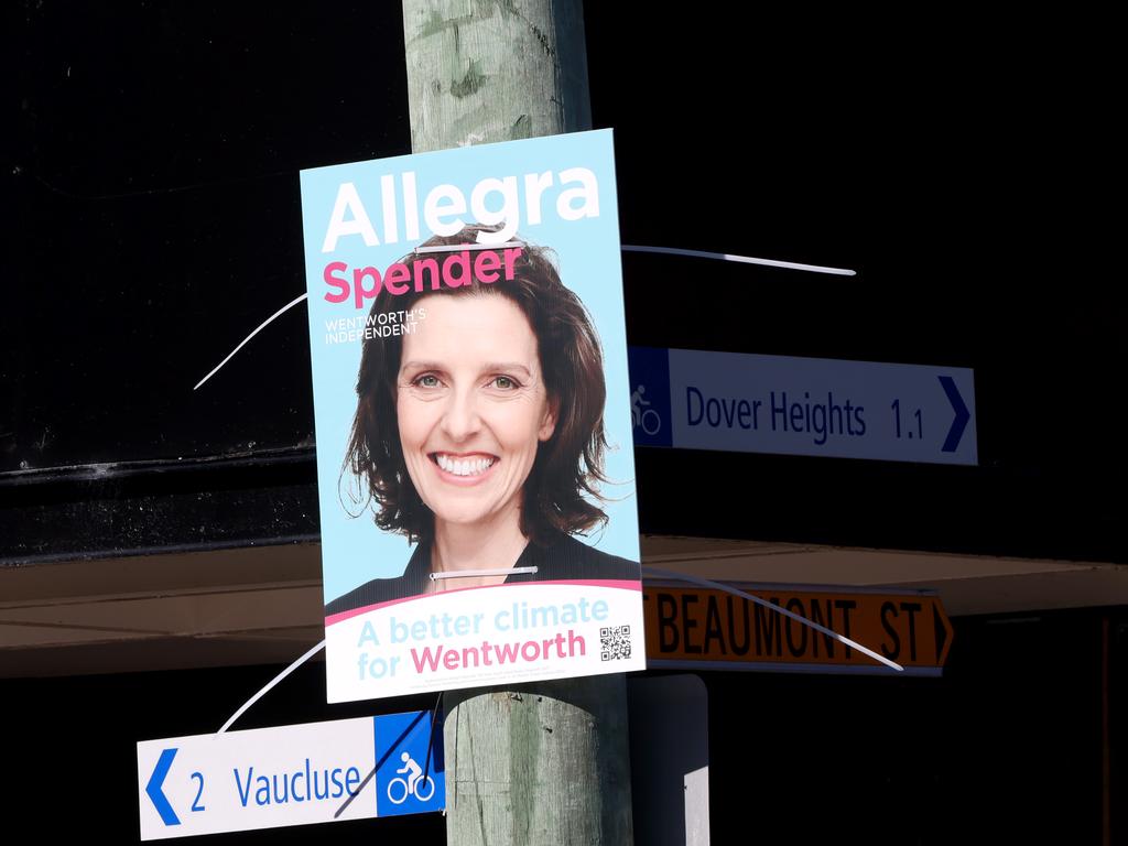 Posters of Independent for Wentworth Allegra Spender on poles in Rose Bay. Picture: Damian Shaw