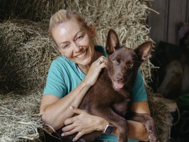 Film and television dog trainer Heidi Mackay said dogs that travel on planes dogs need to be crate-trained. Picture: Suppliedd