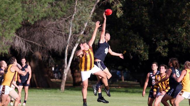 Pulteney v Croydon Division 5. Picture: supplied