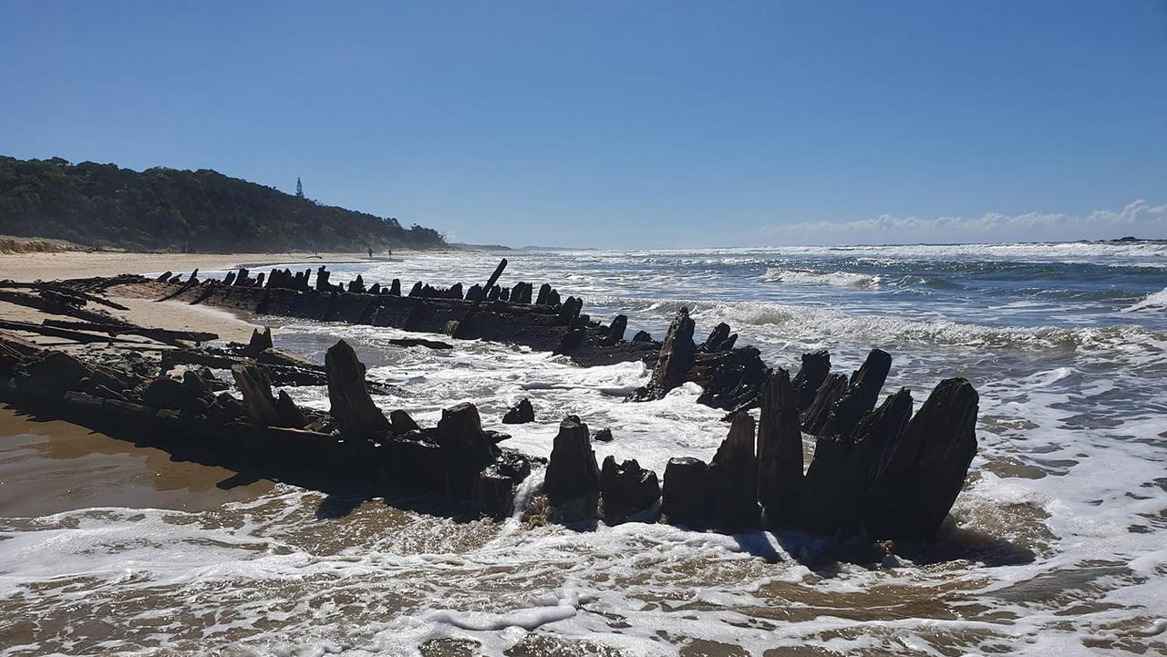 Buster at Woolgoolga Beach, snapped by reader Roberta Andrews.