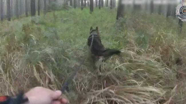 The driver left the scene on foot, before Police Dog Stryker tracked him through bushland and he was arrested a short distance away. Picture: MyPolice