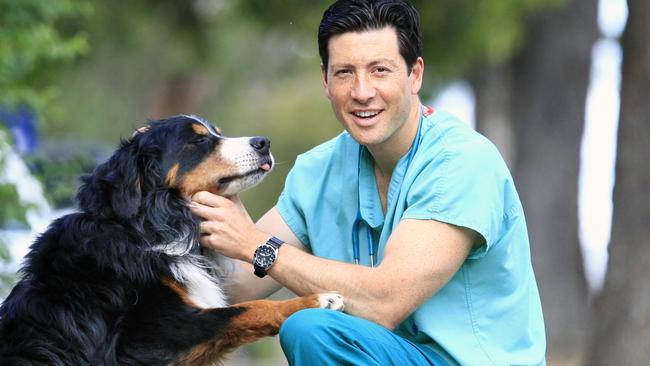 Vetinary surgeon Dr Chris Preston with Bailey the Burmese Mountain dog who will be having a bone marrow transplant.