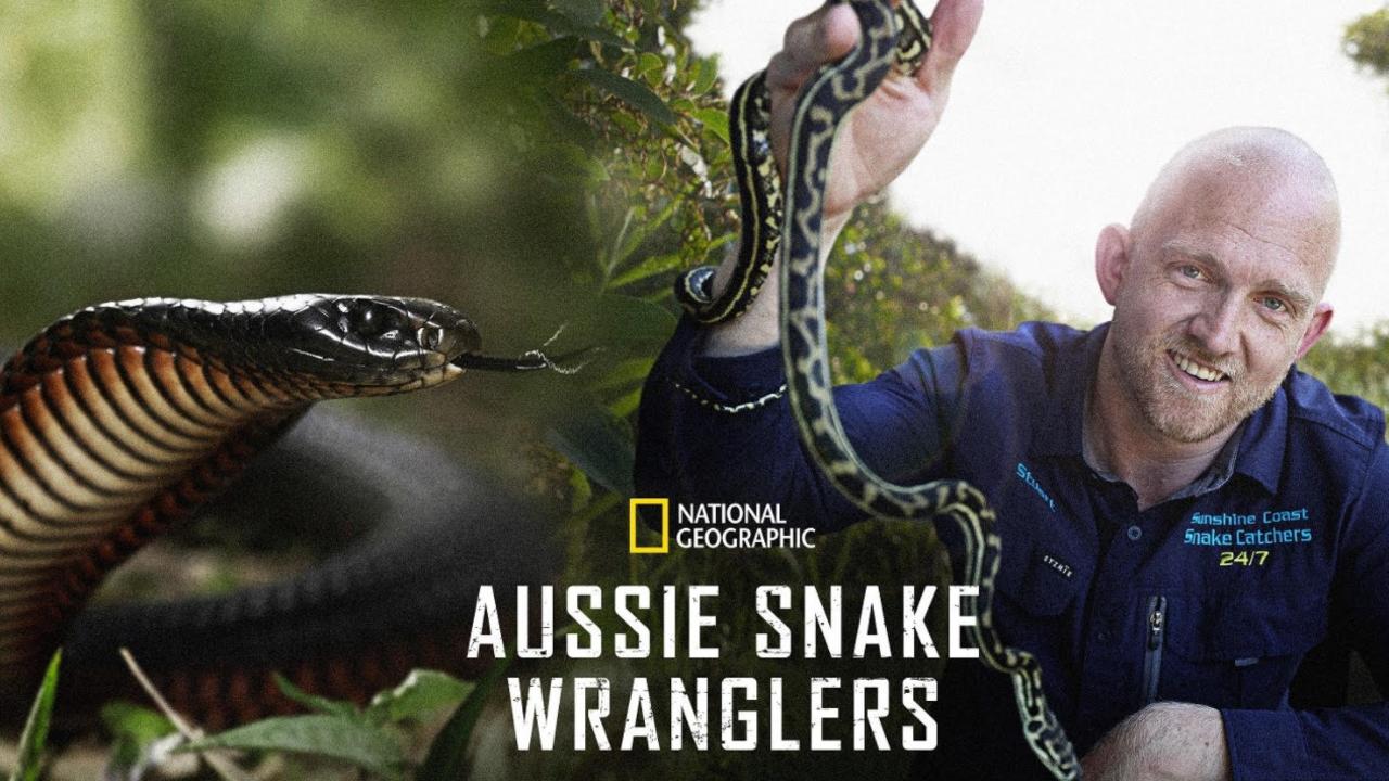 Stuart McKenzie and the team from Sunshine Coast Snake Catchers 24/7 share their day-to-day work on Aussie Snake Wranglers. Picture: Supplied.