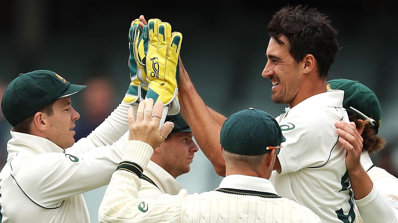 Tim Paine and Mitchell Starc of Australia celebrate a wicket.