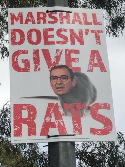 Treasurer Rob Lucas said a corflute depicting Premier Steven Marshall as a rat was a "very disturbing development". Picture: Supplied