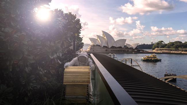 Park Hyatt Sydney’s ‘flow hive’ on the rooftop.