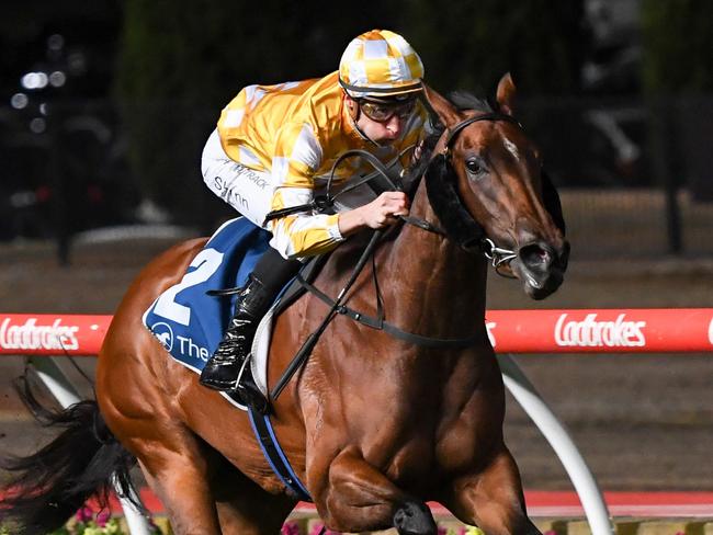 Queen Of The Ball ridden by Blake Shinn wins the University Food Group Scarborough Stakes at Moonee Valley Racecourse on September 23, 2022 in Moonee Ponds, Australia. (Photo by Pat Scala/Racing Photos via Getty Images)