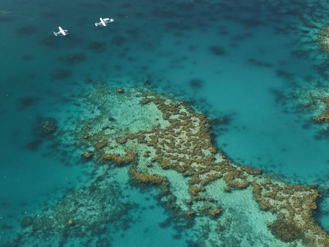 The Great Barrier Reef is the world’s largest living organism. Picture: Tourism Australia.