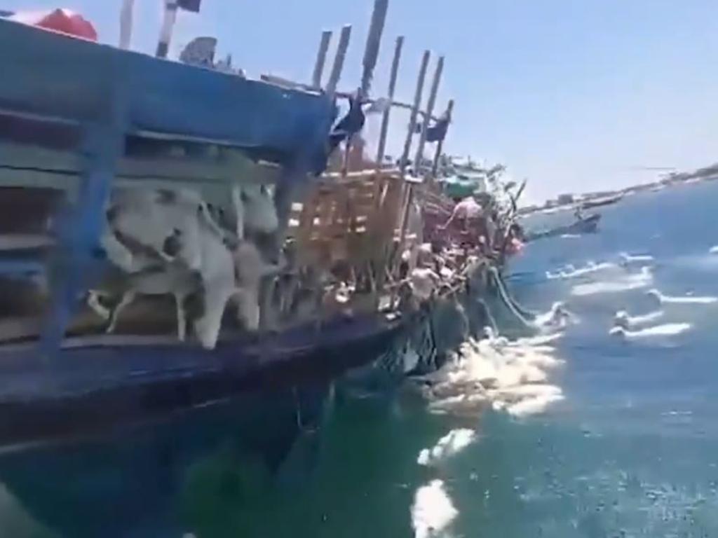 Others can be seen hanging out of the overturned vessel. Picture: Viral Press