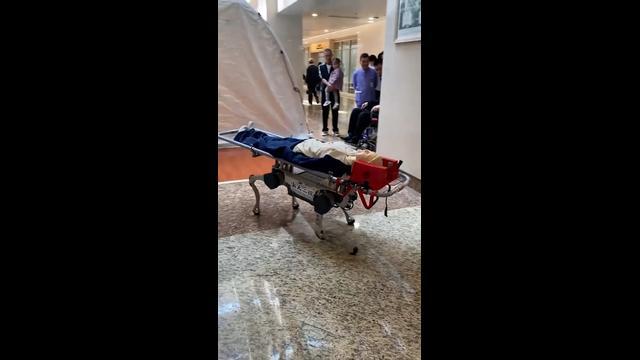 China develops robot dog that carries patients on stretchers