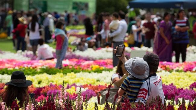 More than 250,000 visitors will descend on Queensland’s flower capital for the 10-day festival.