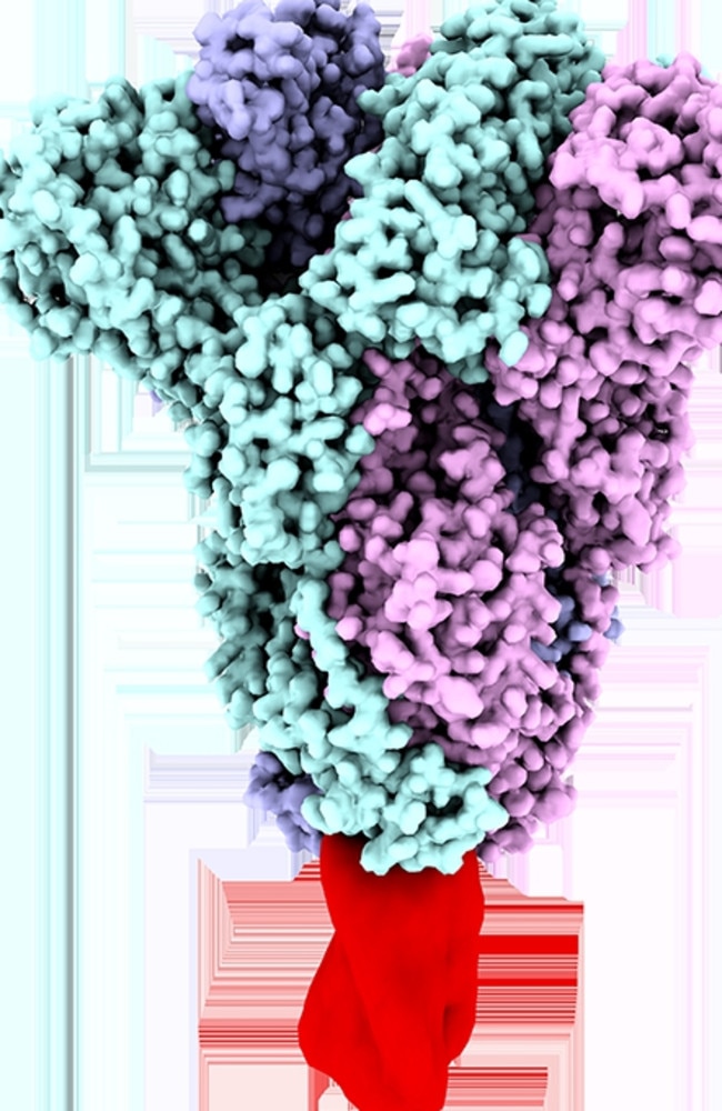 UQ has since reengineered the molecular clamp. Picture: Supplied