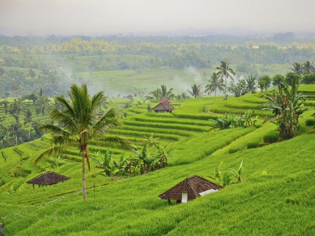 Bali - Jati Luwih Rice Terraces