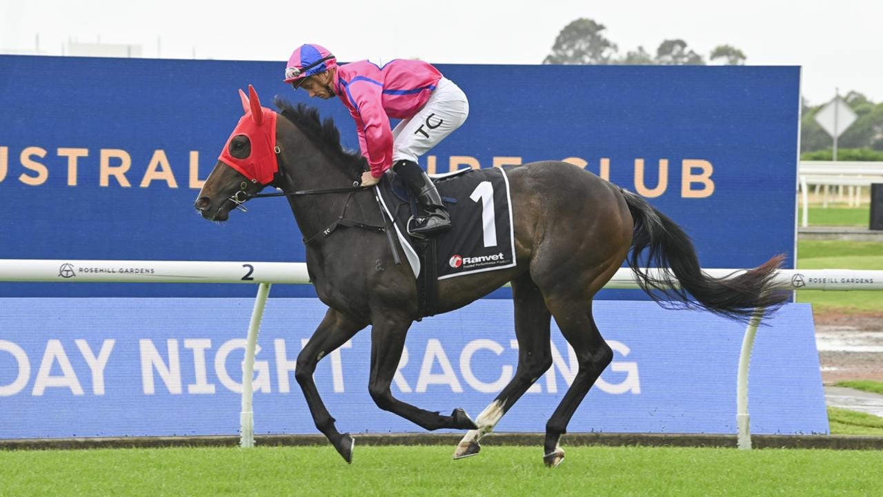 Magic Millions 2YO Classic: How the field is shaping up