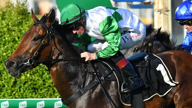 Barbie’s Sister, a full sister to Outback Barbie (pictured), will make her debut at Sunshine Coast on Saturday. Picture: AAP