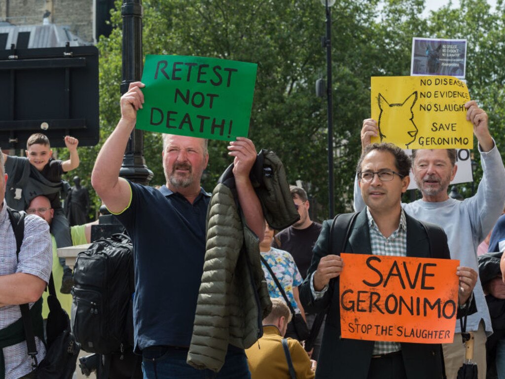 Animal rights protesters march through central London to Downing Street. Picture: Getty Images