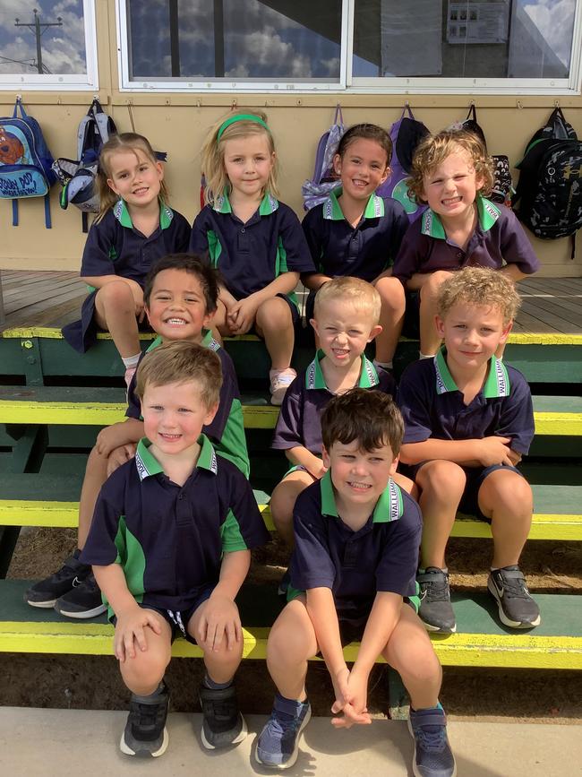 Wallumbilla State School (back) Felicity, Gracie, Olive, Oscar, (middle) Kingston, Thomas, Stuart, (front) Henry and Spencer. Picture: Supplied.