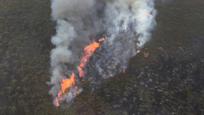 The satellite will monitor water quality and examine fuel loads to help bushfire responses. Picture: CFS