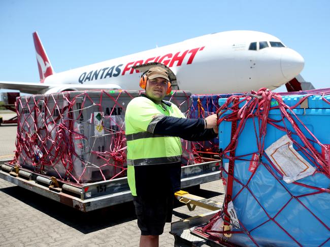 Qantas Freight taking its first cargo load from Cairns to Hong Kong on a Boeing 767. Freight porter Cameron Sinclair checks the fish bins are secure. PICTURE: STEWART MCLEAN
