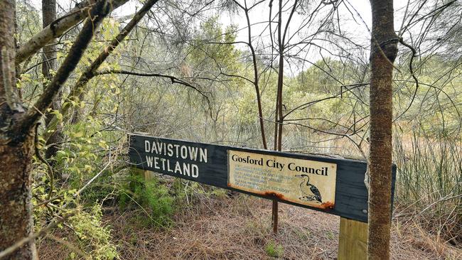 The pursuit of Davistown Wetlands is up for debate at Central Coast Council next week. Picture: Troy Snook