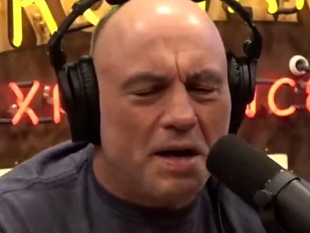 Picture: X/The Joe Rogan Experience