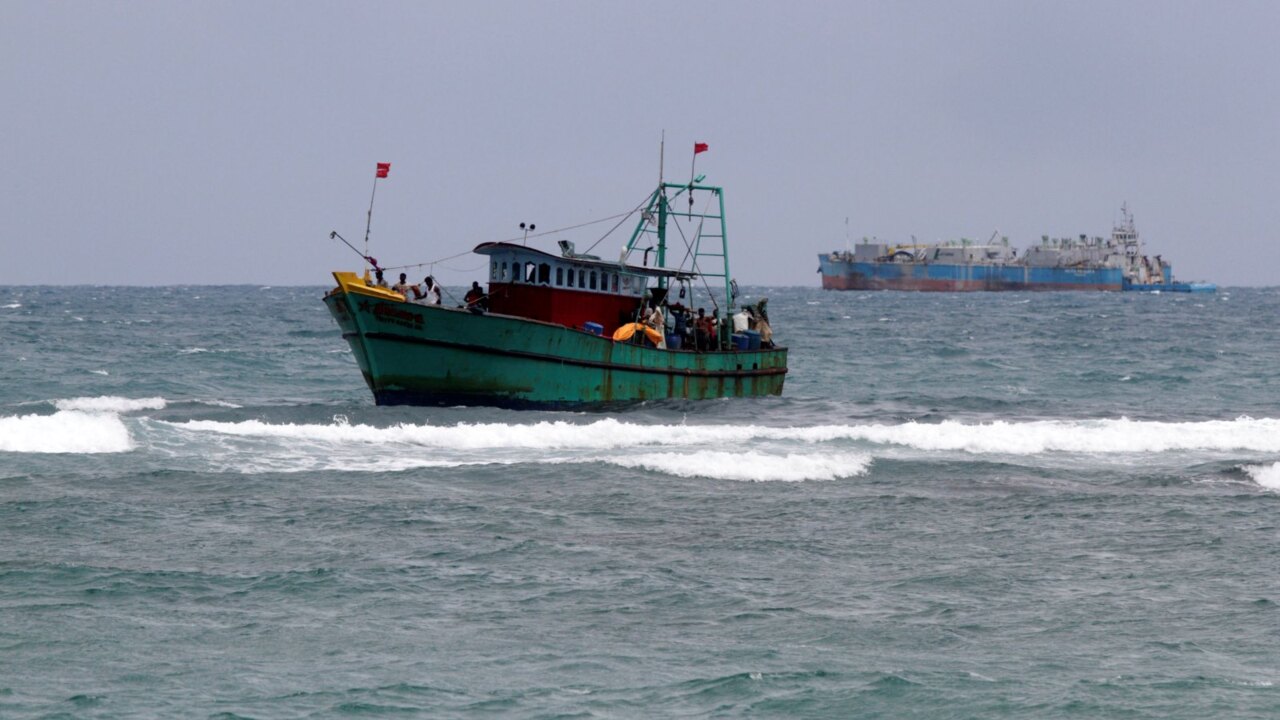 Govt backlog blamed for number of deportation cases
