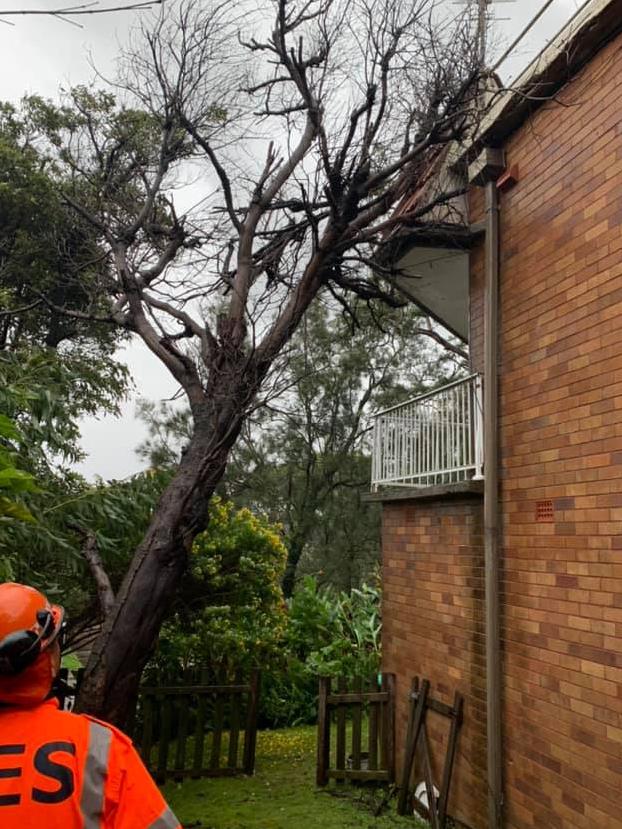 State Emergency Service volunteers were busy across the weekend attending to emergency calls for assistance after large trees were brought down and damaged homes across the northern beaches by the heavy rain and winds. Picture: SES Warringah/Pittwater Unit