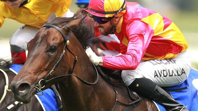 Bonny O'Reilly is unbeaten in two starts at Rosehill. Picture: Jenny Evans