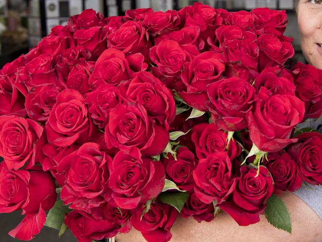 Maree Streidl from Toowoomba Flower Market with red roses for Valentines Day. Wednesday, 13th Feb, 2020.