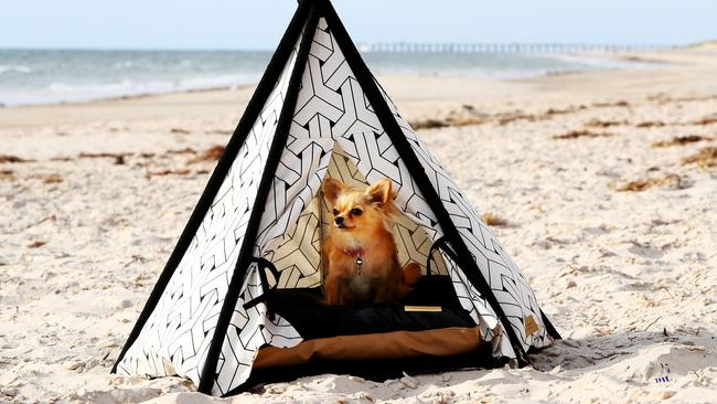 Playing it sun smart at Thirteenth Beach, Barwon Heads. Picture Simon Cross