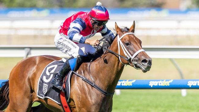 Gala Queen hits the line to win the Morphettville Guineas on Monday. Picture: Makoto Kaneko