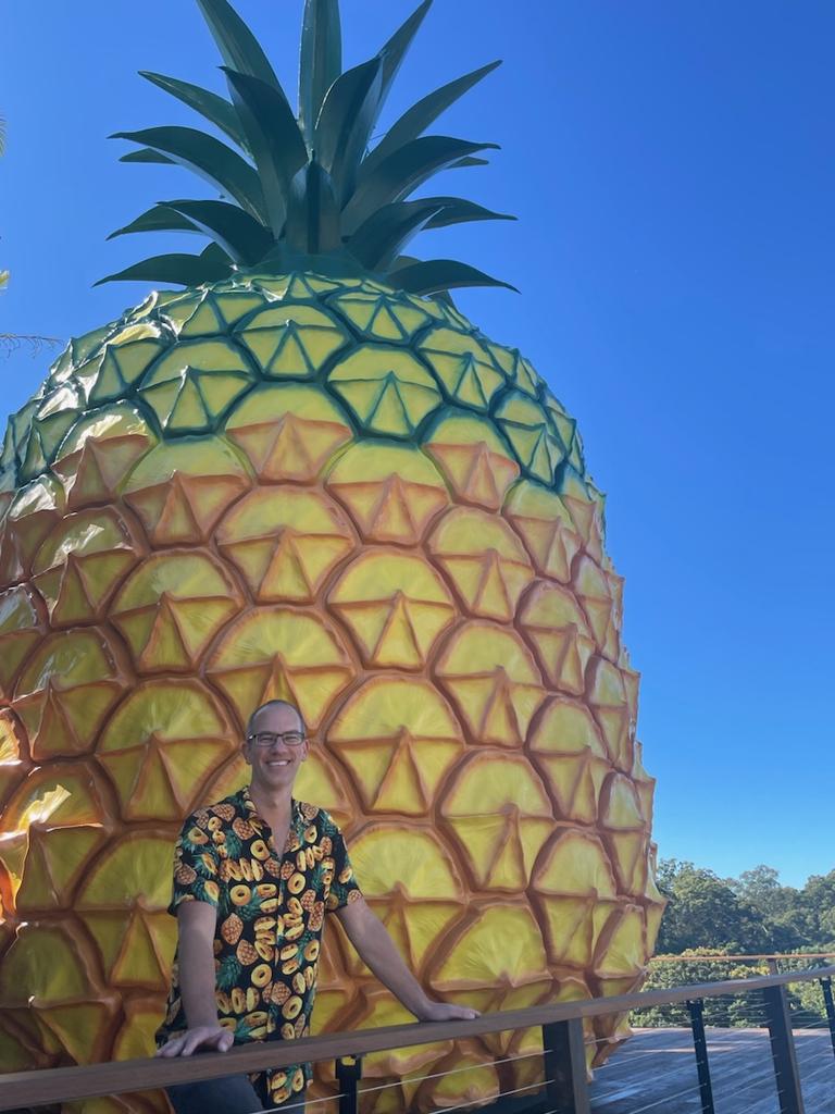 The Big Pineapple is 16m tall. Photo: Michele Sternberg/Visit Sunshine Coast