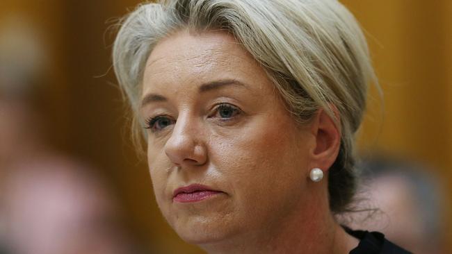 Nationals deputy Bridget McKenzie. Picture: Kym Smith