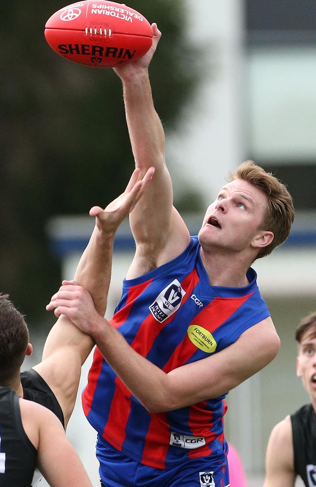 Guy Dickson of Port Melbourne wins a ruck contest.